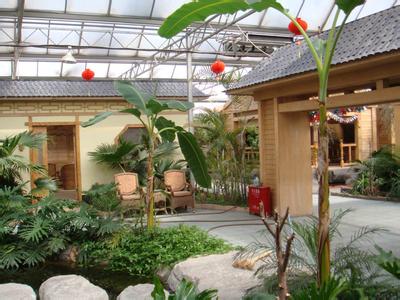 專業(yè)設計 施工各種鋼結(jié)構(gòu)智能溫室、鋼結(jié)構(gòu)室內(nèi)園林景觀生態(tài)園工程、網(wǎng)架花卉溫室工程