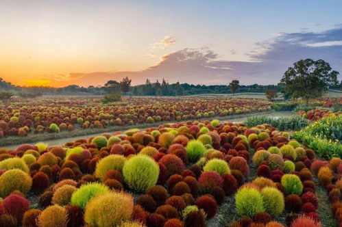 長三角文旅一體化再結碩果 2022年生態主題專項旅游產品權威發布